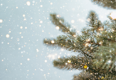 Foto: Tannenzweige mit Lichtzauber auf hellblauem Hintergrund.