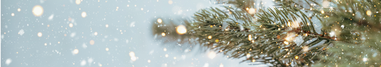 Foto: Tannenzweige mit Lichtzauber auf hellblauem Hintergrund.