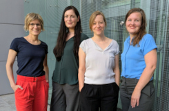 Foto: Gruppenfoto des Teams. Von links nach rechts: Corinna Porsche, Helena Montagnese, Stefanie Ohrem, Theresa Mayerh&ouml;ffer.